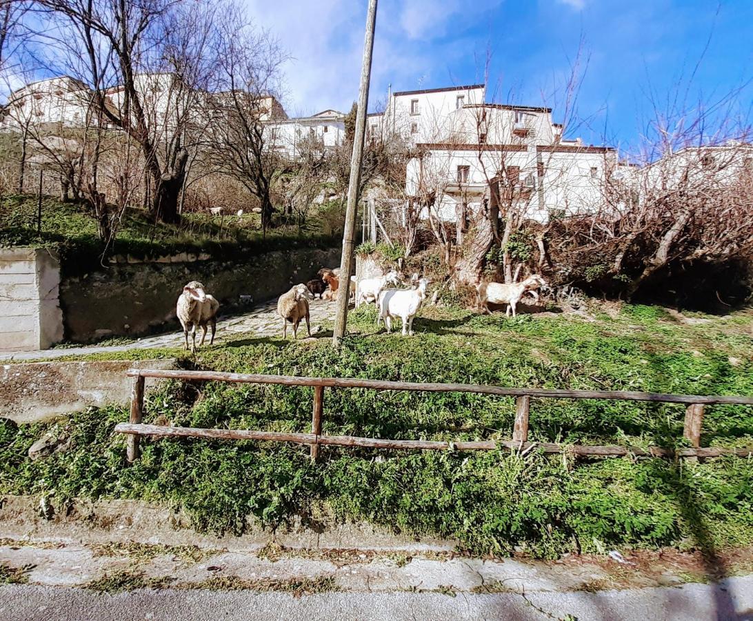 Le Origini Casa In Borgo Tipico Lucano Trivigno Kültér fotó